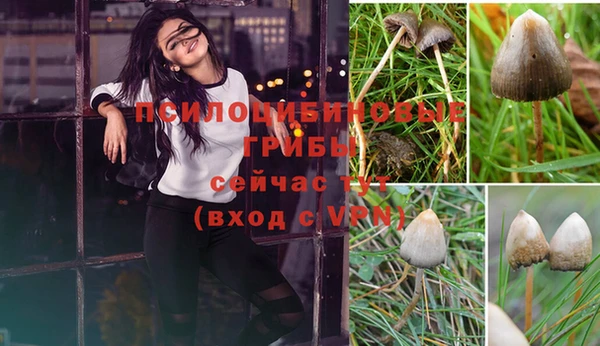 СК Алзамай