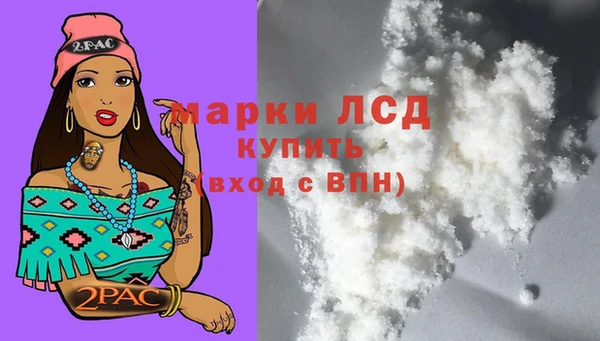 СК Алзамай